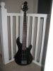 Filename=Yamaha_5_String_frontSmall.jpg
Filesize=480KiB
Dimensions=750x1000
Date added=Aug 16, 2009 Yamaha_5_String_frontSmall.jpg